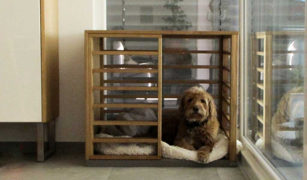 Indoor Hundebox Mannheim Indoor Hundebox Mannheim